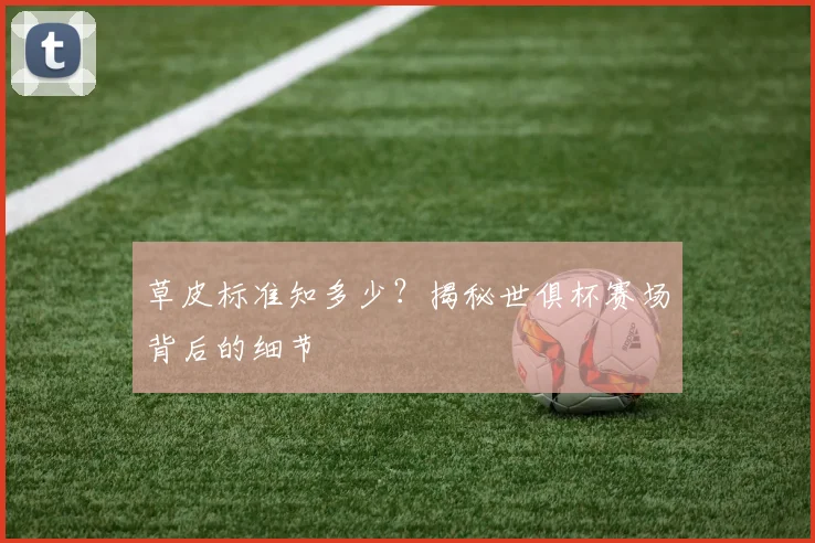 草皮标准知多少？揭秘世俱杯赛场背后的细节