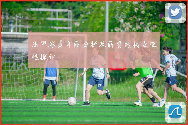 法甲球员年薪分析及薪资结构合理性探讨