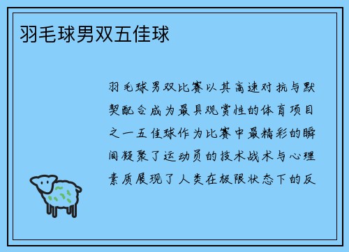 羽毛球男双五佳球